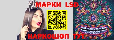прущие крисы Будённовск