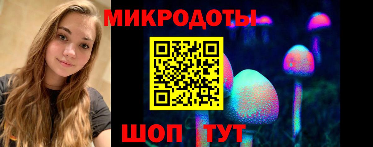 Галлюциногенные грибы GOLDEN TEACHER Хасавюрт