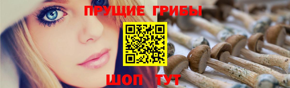 купить наркоту  Вход с VPN  Хасавюрт  Псилоцибиновые грибы мухоморы 