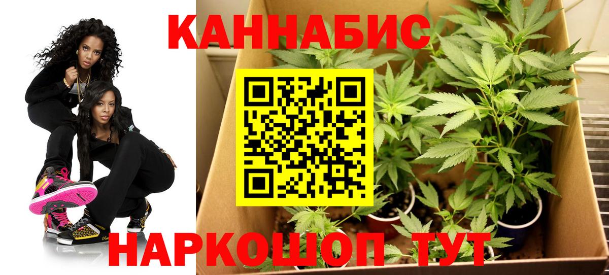 Марихуана марихуана  Вход с VPN  МАРИХУАНА тримм  Хасавюрт 