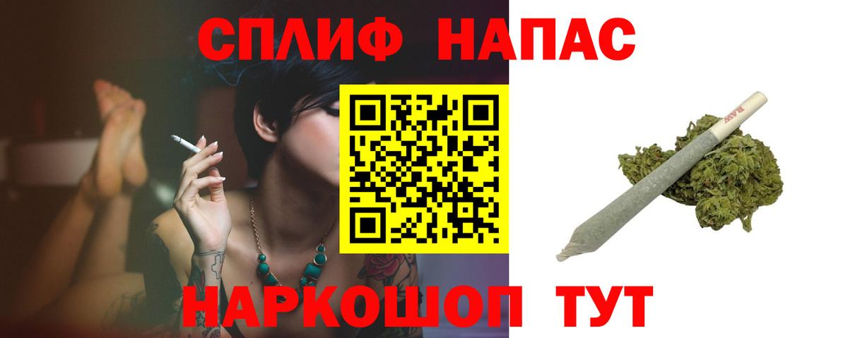 Бошки Шишки планчик Хасавюрт